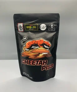Cheetah Piss Strain Backpackboyz, close up, available in Australia