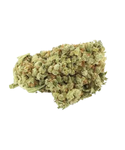 Jack Herer Strain, available in Australia