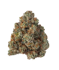 Khalifa Kush cannabis strain, available in Australia