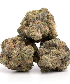 Lemon Cherry Gelato Backpackboyz cannabis strain, available in Australia