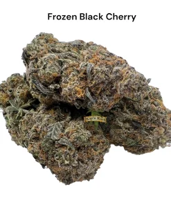 frozen black cherry Backpackboyz, available in Australia