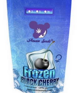 frozen black cherry Backpackboyz, close up, available in Australia