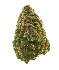 Green Crack, available in Australia