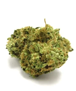 Afgoo Marijuana Strain, available in Australia