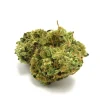 Afgoo Marijuana Strain, available in Australia