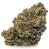 Animal Cookies Cannabis Strain, available in Australia