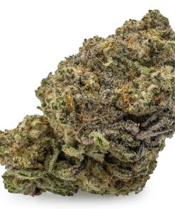 Animal Cookies Cannabis Strain, available in Australia