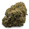 Astro Cookies Weed Strain, available in Australia