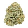 Atomic Bomb Strain Weed Strain, available in Australia