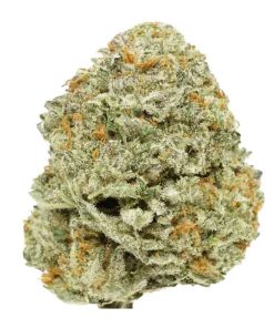 Atomic Bomb Strain Weed Strain, available in Australia