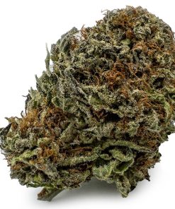 Black Diamond Weed Strain, available in Australia