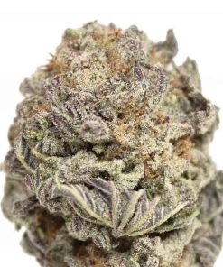 Black Gas Mask x Lavender Strain, available in Australia
