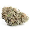 Blackwater Cannabis Strain, available in Australia