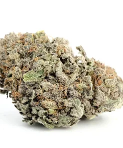 Blackwater Cannabis Strain, available in Australia