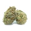 Blue Coma Strain Cannabis, available in Australia