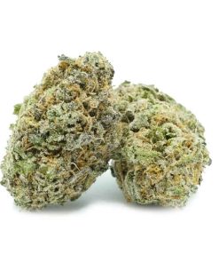 Blue Coma Strain Cannabis, available in Australia