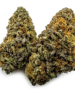 Blueberry Cheesecake Weed, available in Australia