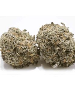 Blueberry Skunk Weed Strain, available in Australia