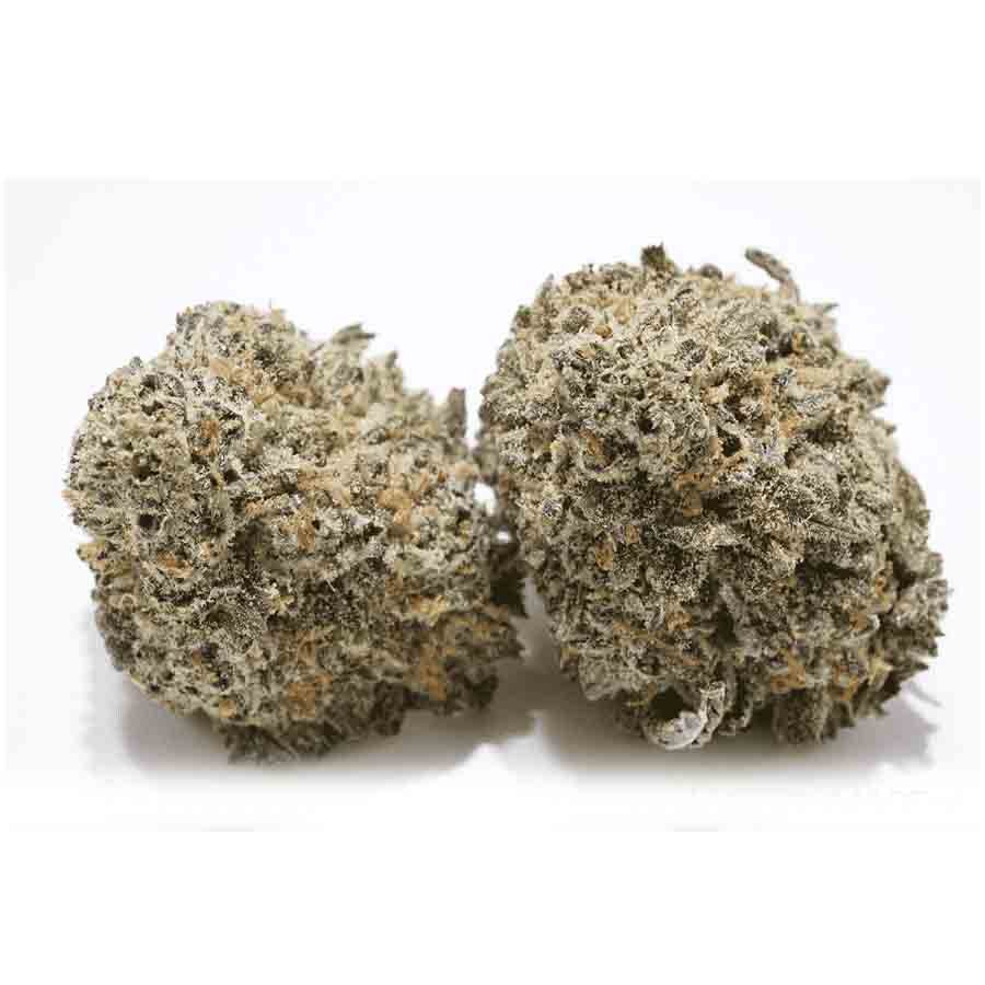 Blueberry Skunk Weed Strain in stock for delivery across Australia