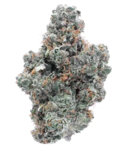 Buy Purple Kush Indica Weed, available in Australia