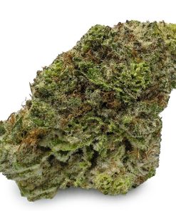 Buy Tropicana Cookies Strain, available in Australia