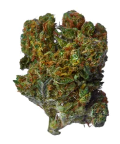 Death Star Marijuana Strain, available in Australia
