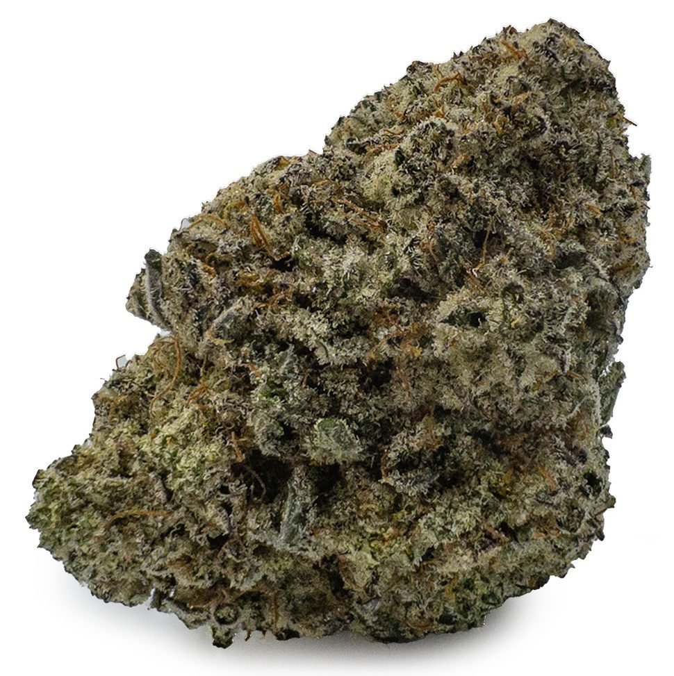 Dolato Marijuana Strain in stock for delivery across Australia