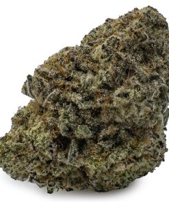 Dolato Marijuana Strain, available in Australia