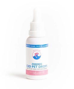 Dolphin CBD Salmon Oil CBD Drops 2000mg CBD, available in Australia