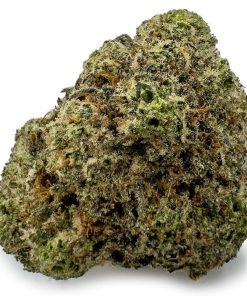 Donkey Breath Weed Strain, available in Australia