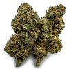 Double Dream Cannabis Strain, available in Australia