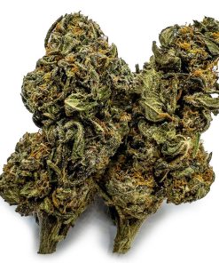 Double Dream Cannabis Strain, available in Australia