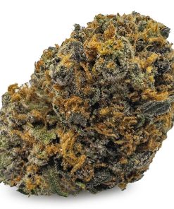 Forbidden Fruit Weed Strain, available in Australia