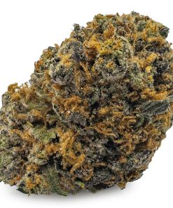 Forbidden Fruit Weed Strain, available in Australia