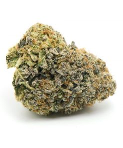 Forbidden Runtz Cannabis Strain, available in Australia
