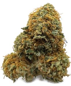 Gelato Runtz Weed Strain, available in Australia