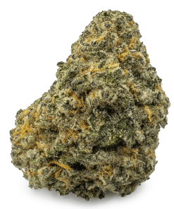 Gingerbread Cookies Weed, available in Australia