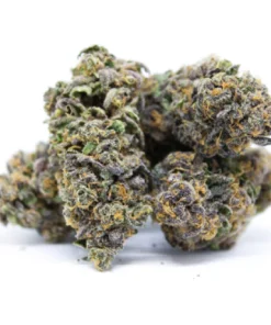 God’s Gift Marijuana Strain, available in Australia