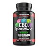Hemp Bombs, High Potency CBD Gummies, Isolate THC-Free, 100ct, 3000mg CBD, packaging shown, available in Australia