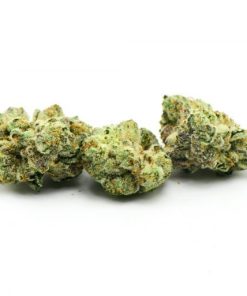 Bruce Banner Weed Strain, available in Australia