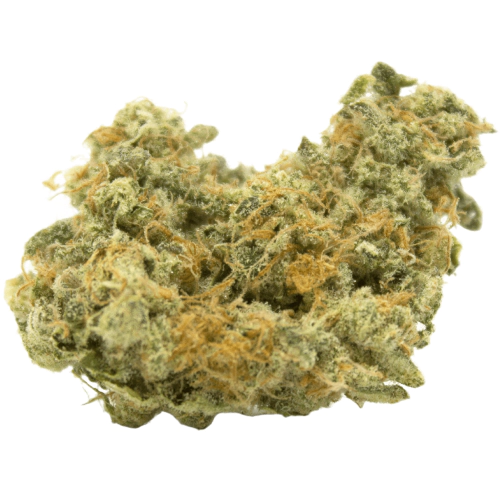 Marijuana Strain in stock for delivery across Australia