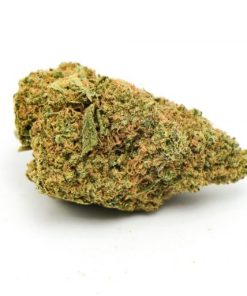 Lamb’s Bread Weed Strain, available in Australia