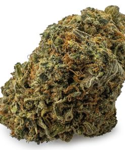 Lemon Sour Diesel Sativa cannabis strain, available in Australia