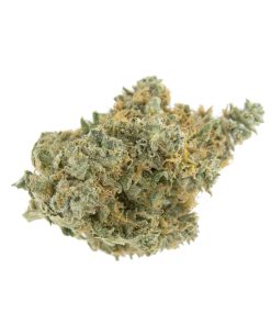 Master Kush Weed Strain, available in Australia