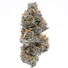 Northern Lights Weed Strain, available in Australia