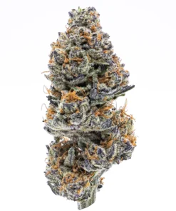 Northern Lights Weed Strain, available in Australia