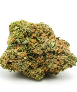 Nuken Marijuana Strain, available in Australia