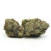 Platinum Oreo Weed Strain, available in Australia