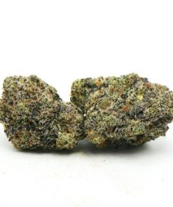 Platinum Oreo Weed Strain, available in Australia