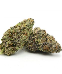 Purple Alien Kush Marijuana Strain, available in Australia